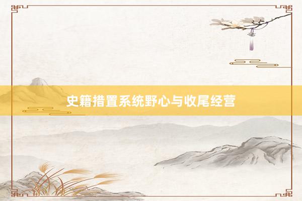 史籍措置系统野心与收尾经营
