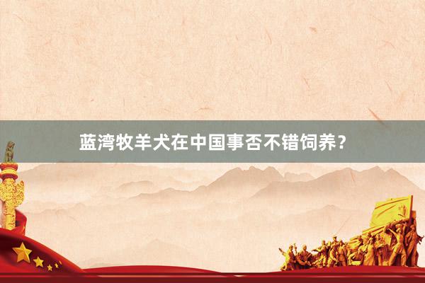 蓝湾牧羊犬在中国事否不错饲养？