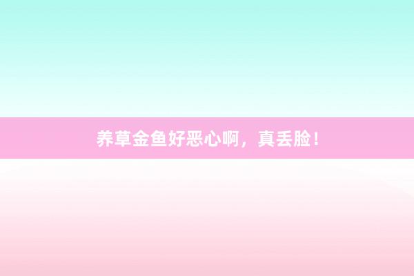 养草金鱼好恶心啊，真丢脸！